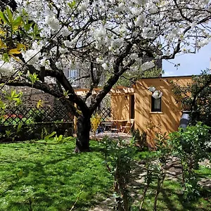  Chalet La Maisonnette Sous Le Cerisier